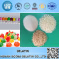 Well Quality Gelatin for Technical Industry